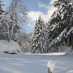 Haus Viehhauser * Kleinarl