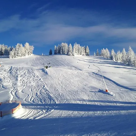 Apartamento Haus Viehhauser