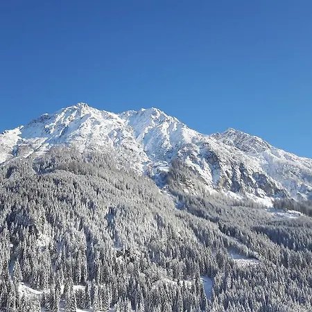 Haus Viehhauser Lägenhet Kleinarl
