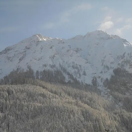 Haus Viehhauser Lägenhet Kleinarl