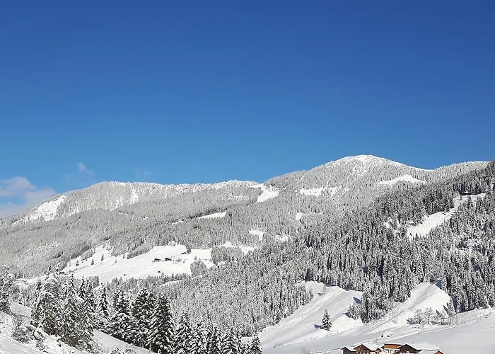 Haus Viehhauser Διαμέρισμα *