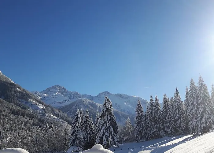 Διαμέρισμα Haus Viehhauser