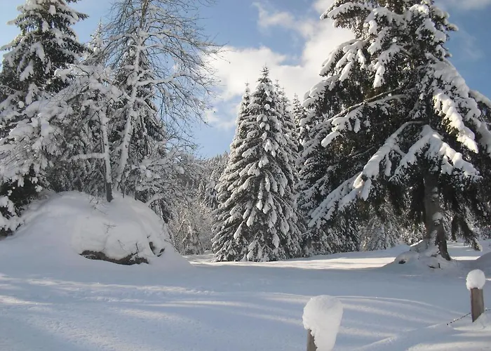 Haus Viehhauser * Kleinarl