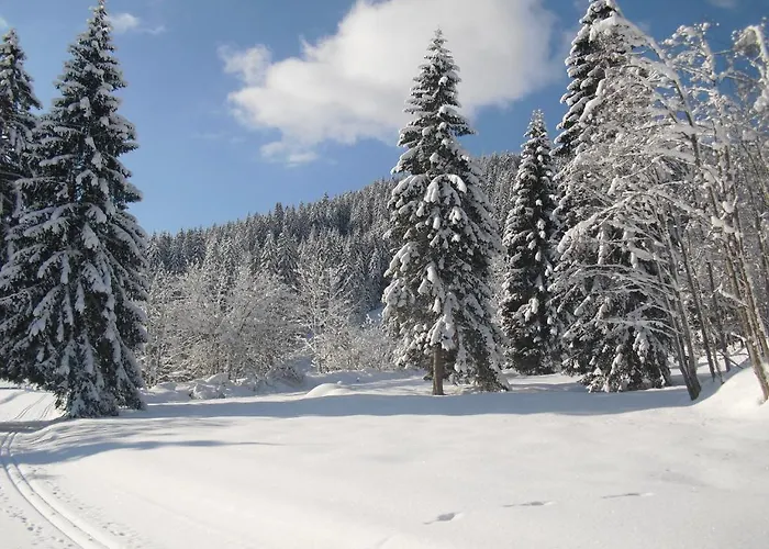 Διαμέρισμα Haus Viehhauser